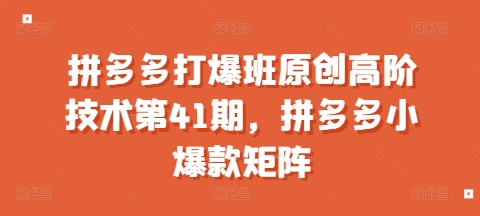 拼多多打爆班原创高阶技术第41期,拼多多小爆款矩阵-互联网资源大全网