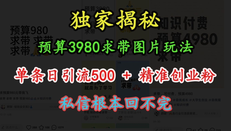 预算3980求带 图片玩法，单条日引流500+精准创业粉，私信根本回不完-互联网资源大全网