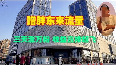 蹭胖东来流量，三天涨万粉，收益直接起飞-互联网资源大全网