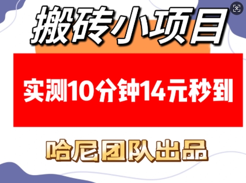 搬砖小项目，实测10分钟14元秒到，每天稳定几张(赠送必看稳定)-互联网资源大全网