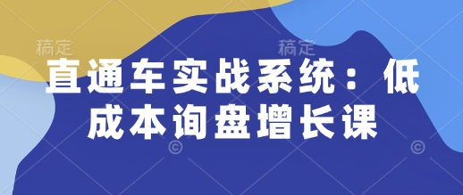 直通车实战系统：低成本询盘增长课，让个人通过技能实现升职加薪，让企业低成本获客，订单源源不断-互联网资源大全网
