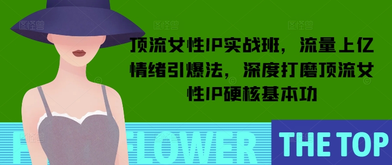 顶流女性IP实战班,流量上亿情绪引爆法,深度打磨顶流女性IP硬核基本功-互联网资源大全网