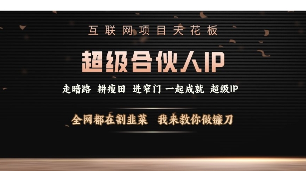 互联网项目天花板,超级合伙人IP,全网都在割韭菜,我来教你做镰刀【仅揭秘】-互联网资源大全网