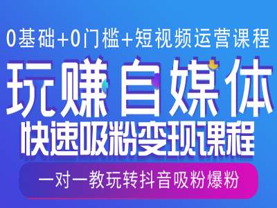 0基础+0门槛+短视频运营课程,玩赚自媒体快速吸粉变现课程,一对一教玩转抖音吸粉爆粉-互联网资源大全网