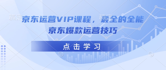 京东运营VIP课程，最全的全能京东爆款运营技巧-互联网资源大全网