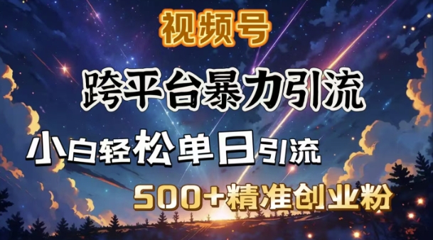 跨平台暴力引流,私域完美闭环,日引500+精准创业粉-互联网资源大全网