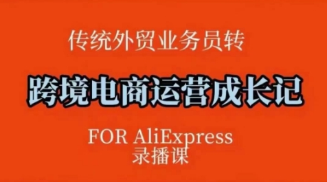 跨境电商速卖通运营课,运营方法论+后台实操,逻辑清晰-互联网资源大全网