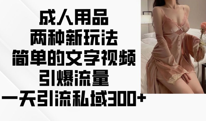 成人用品两种新玩法,简单的文字视频引爆流量,一天引流私域300+-互联网资源大全网