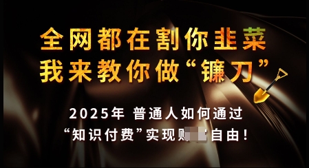 知识付费如何做到月入过W+,2025我来教你做“镰刀”【揭秘】-互联网资源大全网
