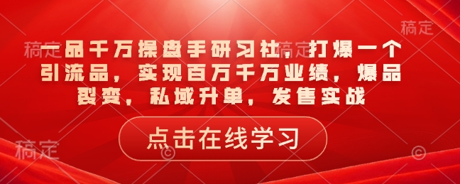 一品千万操盘手研习社,打爆一个引流品,实现百万千万业绩,爆品裂变,私域升单,发售实战-互联网资源大全网