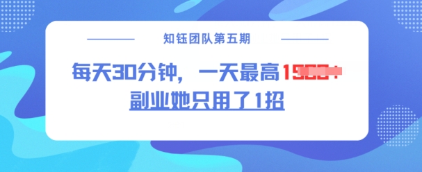 副业她只用了1招,每天30分钟,无脑二创,一天最高1.5k-互联网资源大全网