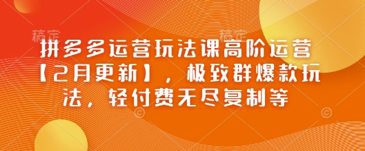 拼多多运营玩法课高阶运营【2月更新】，极致群爆款玩法，轻付费无尽复制等-互联网资源大全网