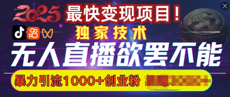 欲罢不能的无人直播引流,超暴力日引流1000+高质量精准创业粉-互联网资源大全网