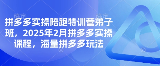 拼多多实操陪跑特训营弟子班,2025年2月拼多多实操课程,海量拼多多玩法-互联网资源大全网