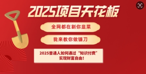 2025项目天花板普通人如何通过知识付费,实现财F自由【揭秘】-互联网资源大全网