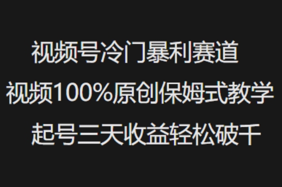 视频号冷门暴利赛道视频100%原创保姆式教学起号三天收益轻松破千-互联网资源大全网