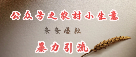 deepseek写农村小项目，条条爆款，暴力引流-互联网资源大全网