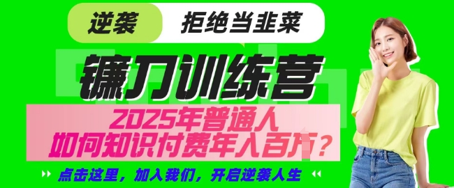 【网创项目终点站-镰刀训练营超级IP合伙人】25年普通人如何通过知识付费实现逆袭【揭秘】-互联网资源大全网