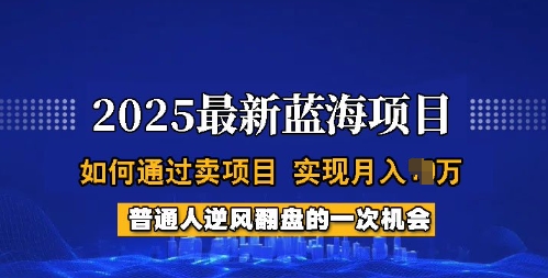 2025蓝海项目,普通人如何通过卖项目,实现月入过W,全过程【揭秘】-互联网资源大全网
