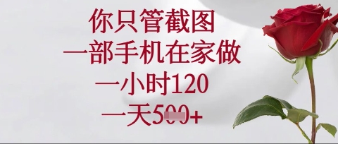 你只管截图,一部手机在家操作,一小时120.一天5张【揭秘】-互联网资源大全网