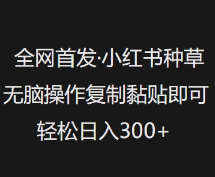全网首发,小红书种草无脑操作,复制黏贴即可,轻松日入3张-互联网资源大全网