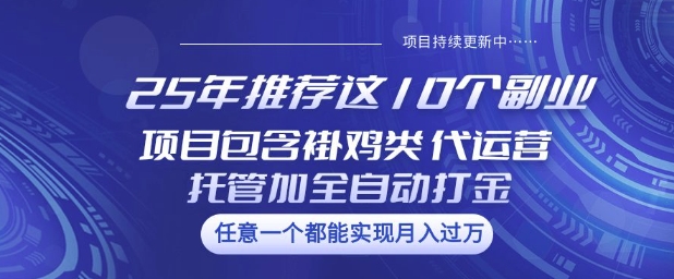 25年推荐这10个副业项目包含褂鸡类、代运营托管类、全自动打金类【揭秘】-互联网资源大全网