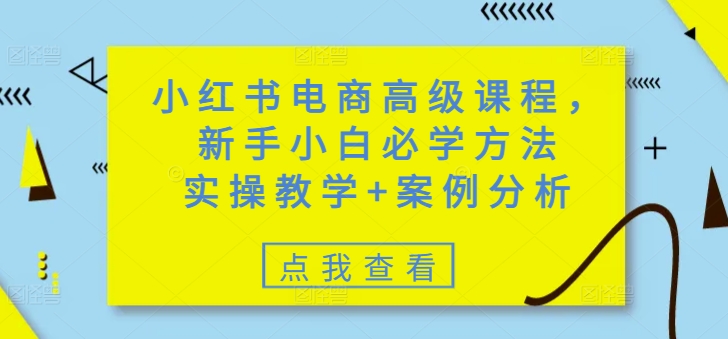 小红书电商高级课程,新手小白必学方法,实操教学+案例分析-互联网资源大全网