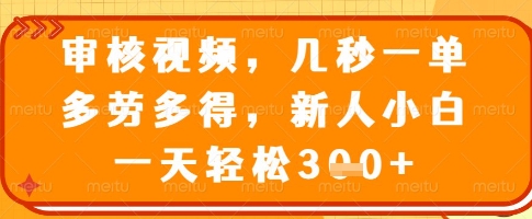 审核视频,几秒一单,多劳多得,新人小白一天轻松3张【揭秘】-互联网资源大全网
