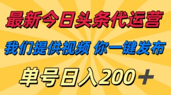 最新今日头条代运营,我们提供视频,你一键发布,单号日入200+【揭秘】-第一资源库