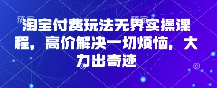 淘宝付费玩法无界实操课程,高价解决一切烦恼,大力出奇迹-第一资源库