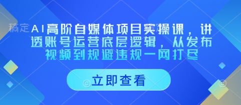 AI高阶自媒体项目实操课,讲透账号运营底层逻辑,从发布视频到规避违规一网打尽-互联网资源大全网