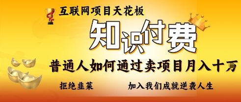 互联网项目天花板，知付付费项目，普通人如何通过卖项目月入十个，拒绝韭菜【揭秘】-互联网资源大全网