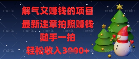 解气又挣钱的项目，最新违章拍照挣钱，随手一拍，轻松收入多张【揭秘】-互联网资源大全网