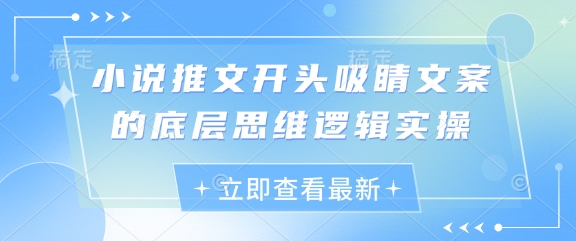 小说推文开头吸睛文案的底层思维逻辑实操-互联网资源大全网