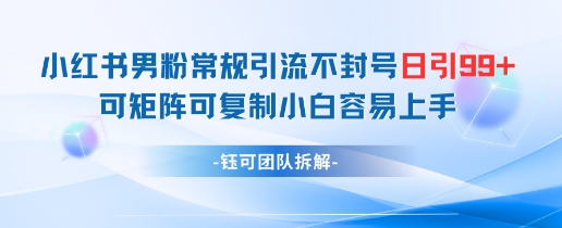 小红书男粉常规引流不封号日引99+变现简单 可矩阵可复制小白容易上手-互联网资源大全网