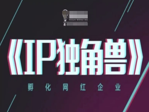 IP独角兽，孵化网红企业，ip教程-互联网资源大全网