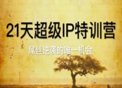 21天超级IP特训营,屌丝逆袭的唯一机会-互联网资源大全网