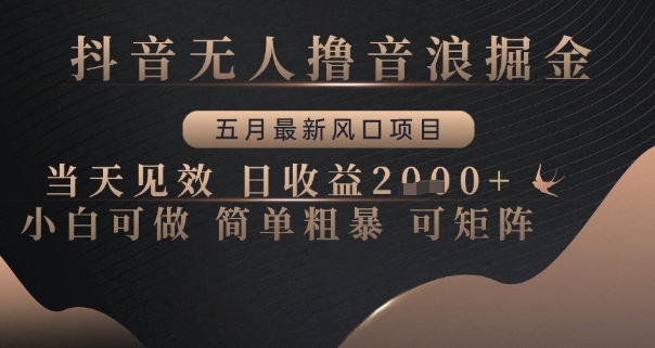 抖音无人撸音浪掘金，五月最新风口项目，当天见效，日收益多张，小白可做简单粗暴可矩阵【揭秘】-互联网资源大全网