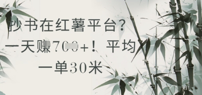 抄书在小红薯平台?平均一单30米,一天收益几张!-第一资源库