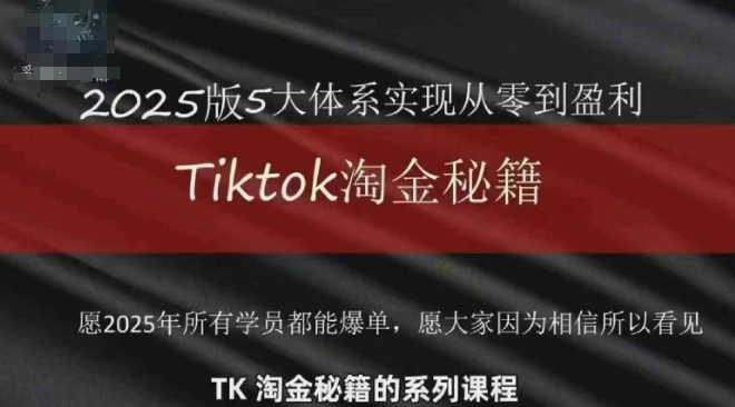 TikTok跨境2025淘金秘籍，​2025TikTok从0到盈利变现-互联网资源大全网