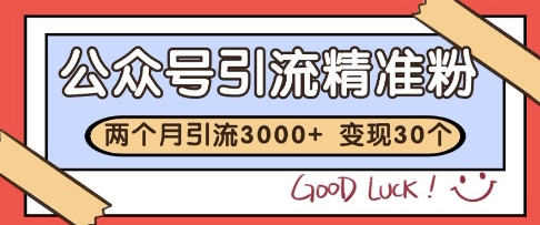 公众号精准粉引流玩法,2个月3000+精准粉,变现30个W【揭秘】-第一资源库