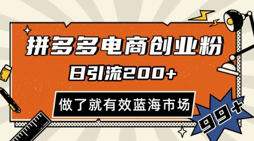 拼多多引流电商创业粉，日引200+，可矩阵放大，做了就有效【揭秘】-互联网资源大全网