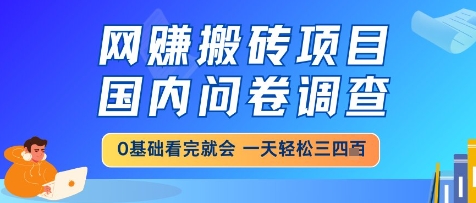 网创搬砖项目,国内问卷调查,小白轻松上手,一天三四张的也不难,干就完了【揭秘】-互联网资源大全网