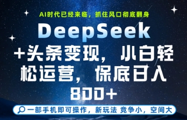 DeepSeek+头条变现,保姆级教学,小白轻松上手,日入8张+【揭秘】-互联网资源大全网