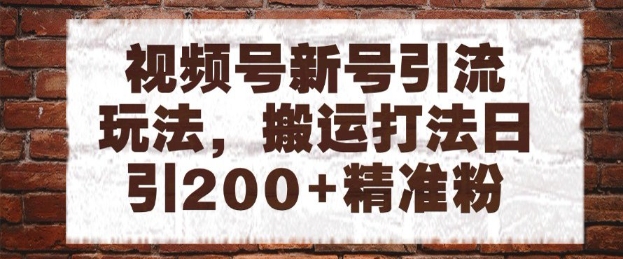 视频号新号引流玩法,搬运打法日引200+精准粉,可矩阵放大【揭秘】-互联网资源大全网