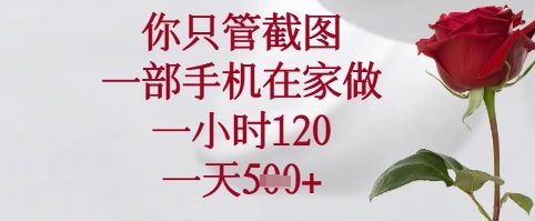 你只管截图，一部手机在家可以做，一小时120.一天5张+【揭秘】-互联网资源大全网
