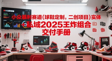 小众暴利赛道(球鞋定制，二创项目)实体+私域2025王炸组合  交付手册-互联网资源大全网