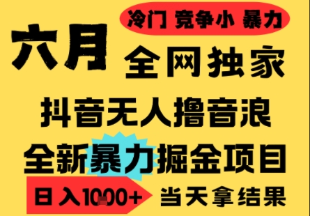 25年6月高爆抖音无人直播最新撸音浪掘金项目,小白可做,无脑日入1k+,门槛低可批量矩阵【揭秘】-互联网资源大全网