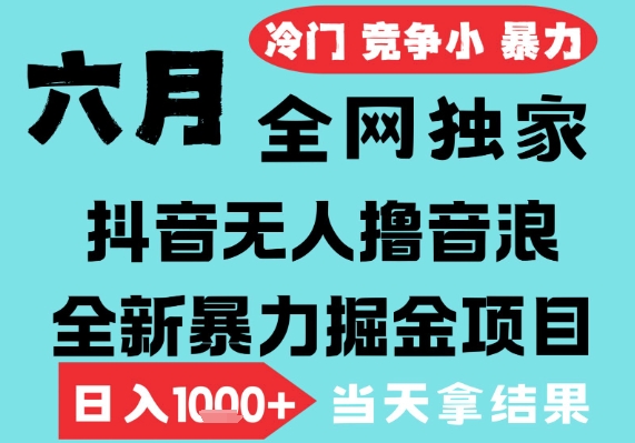 2025年6月高爆抖音无人直播最新撸音浪掘金项目，无脑日入1k+，低门槛小白可做，可矩阵放大【揭秘】-互联网资源大全网
