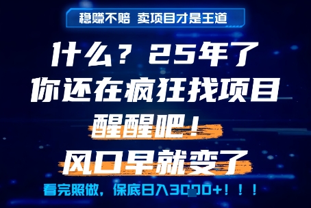 什么?25年你还在疯狂找项目做,醒醒吧,看完这些你全都懂了!【揭秘】-互联网资源大全网